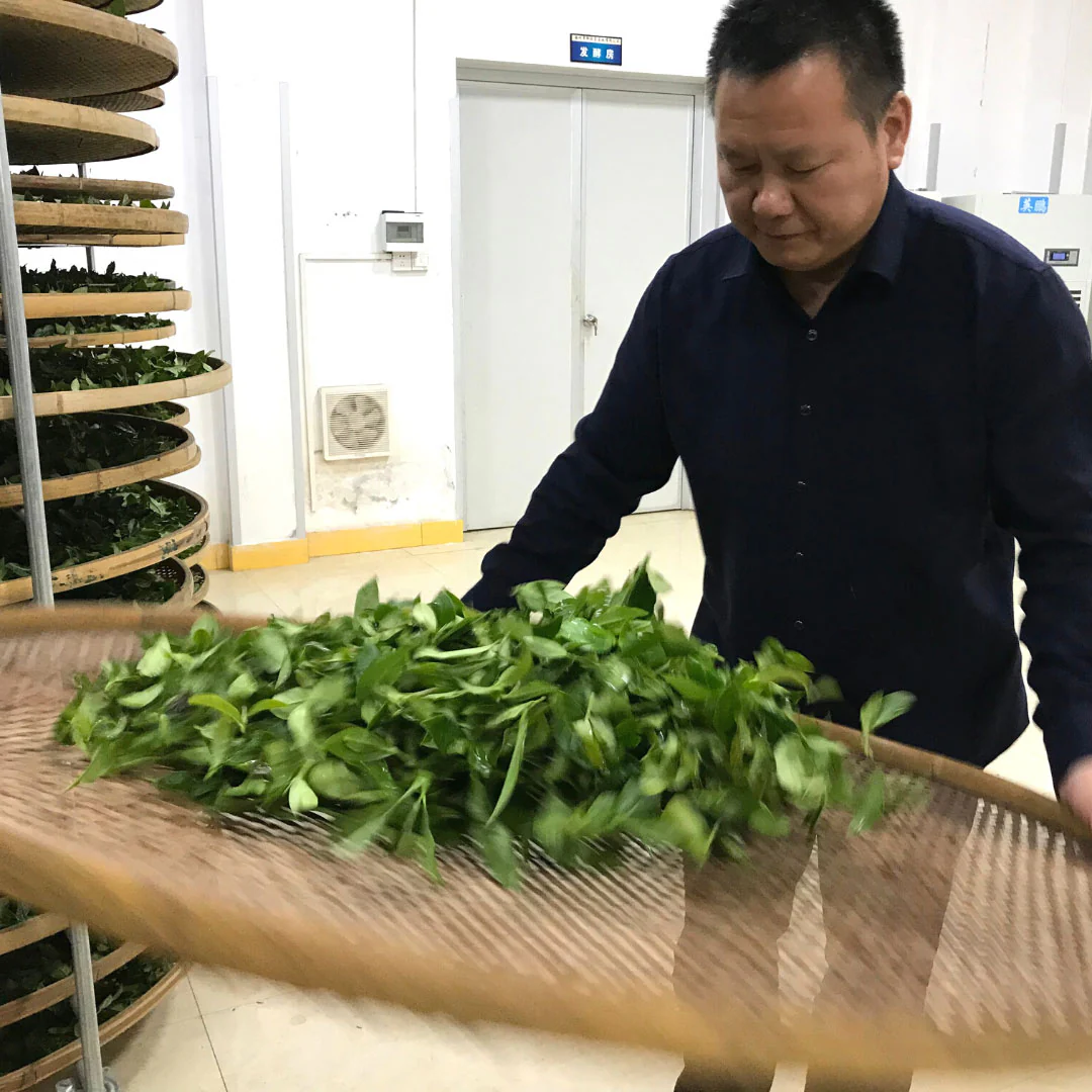 Book of Spells Tieguanyin | Oolong Tea - Image 9
