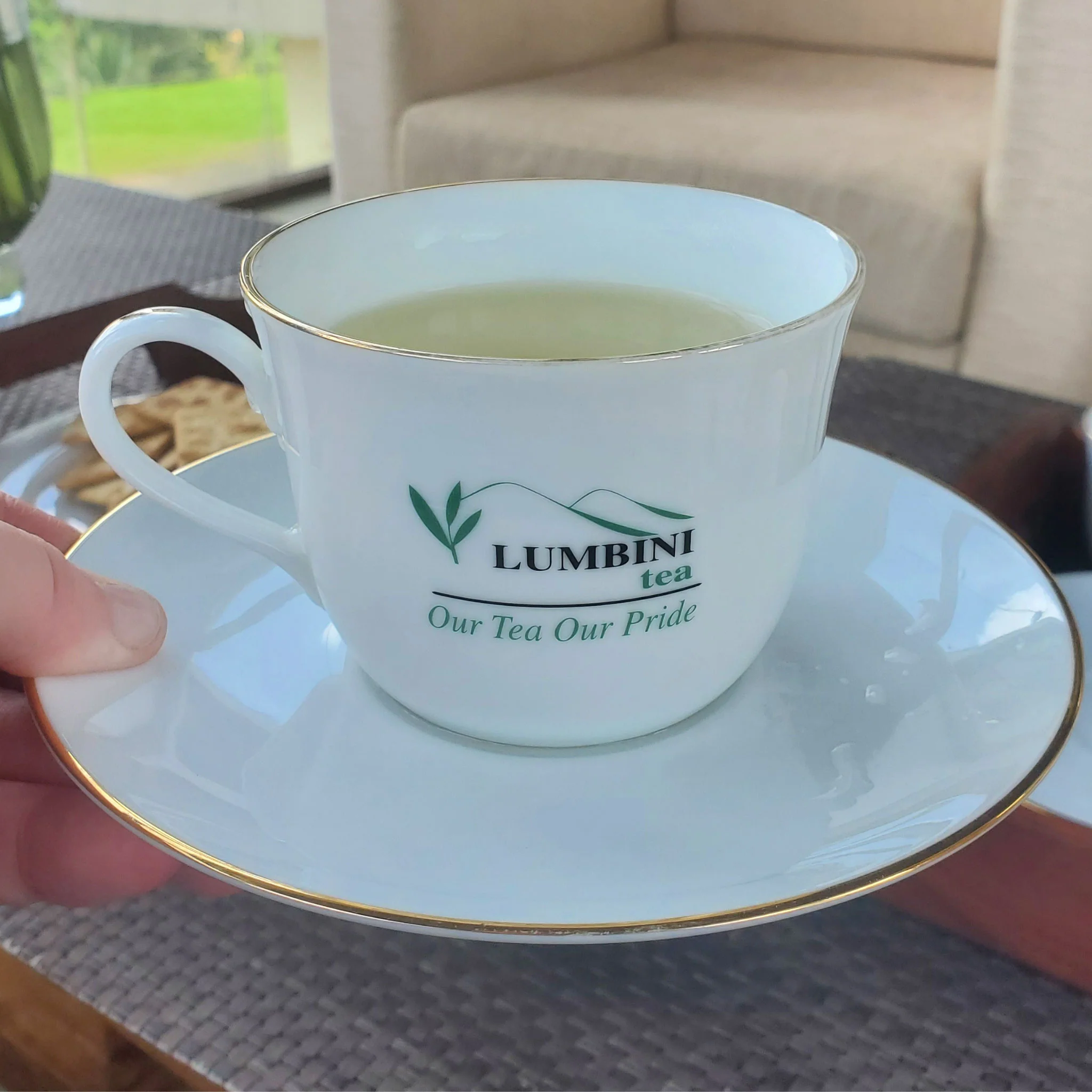 Ceylon Rainforest Green Tea - Image 6