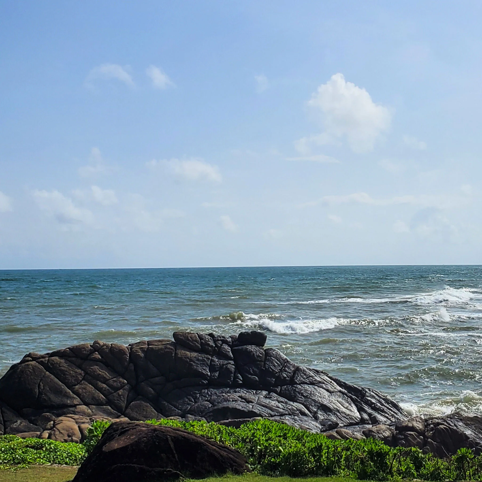 Ceylon Seafarer | Black Tea - Image 3