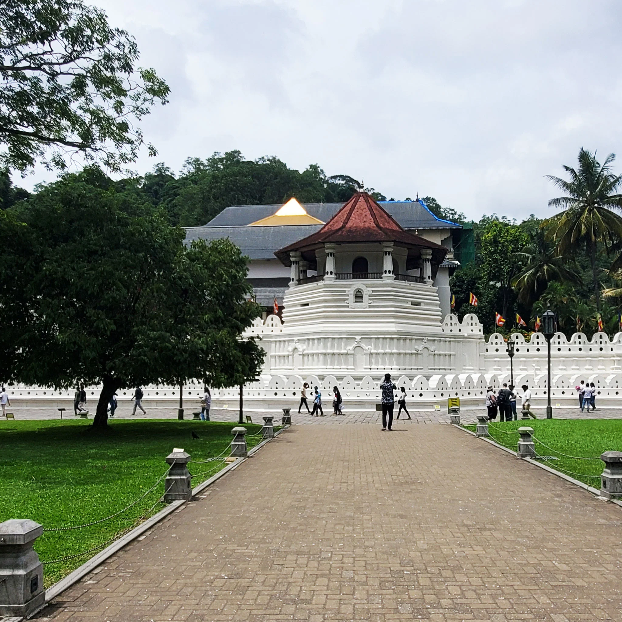 Ceylon Secret Stash | Black Tea - Image 4