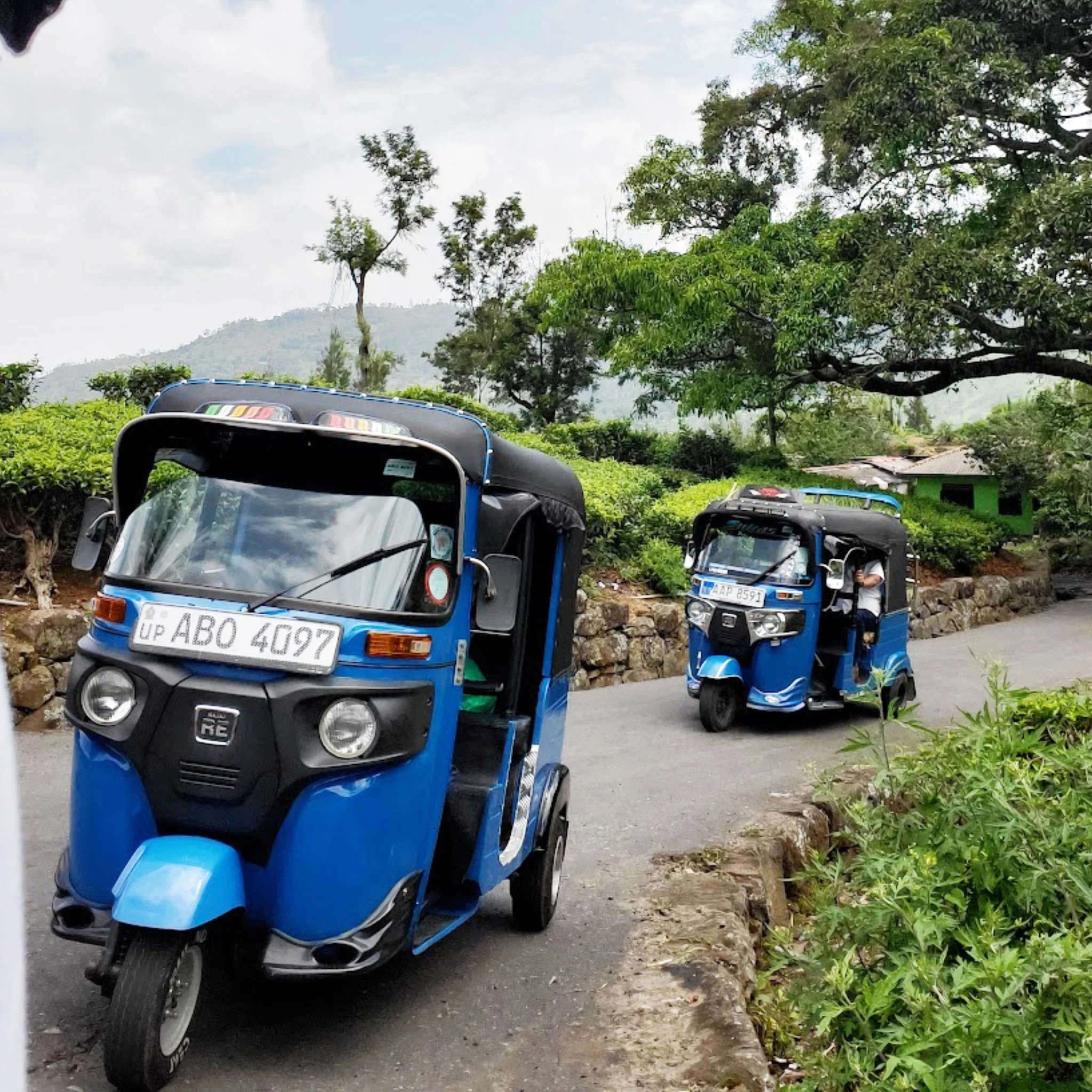 Ceylon Tuk-Tuk | Black Tea - Image 4