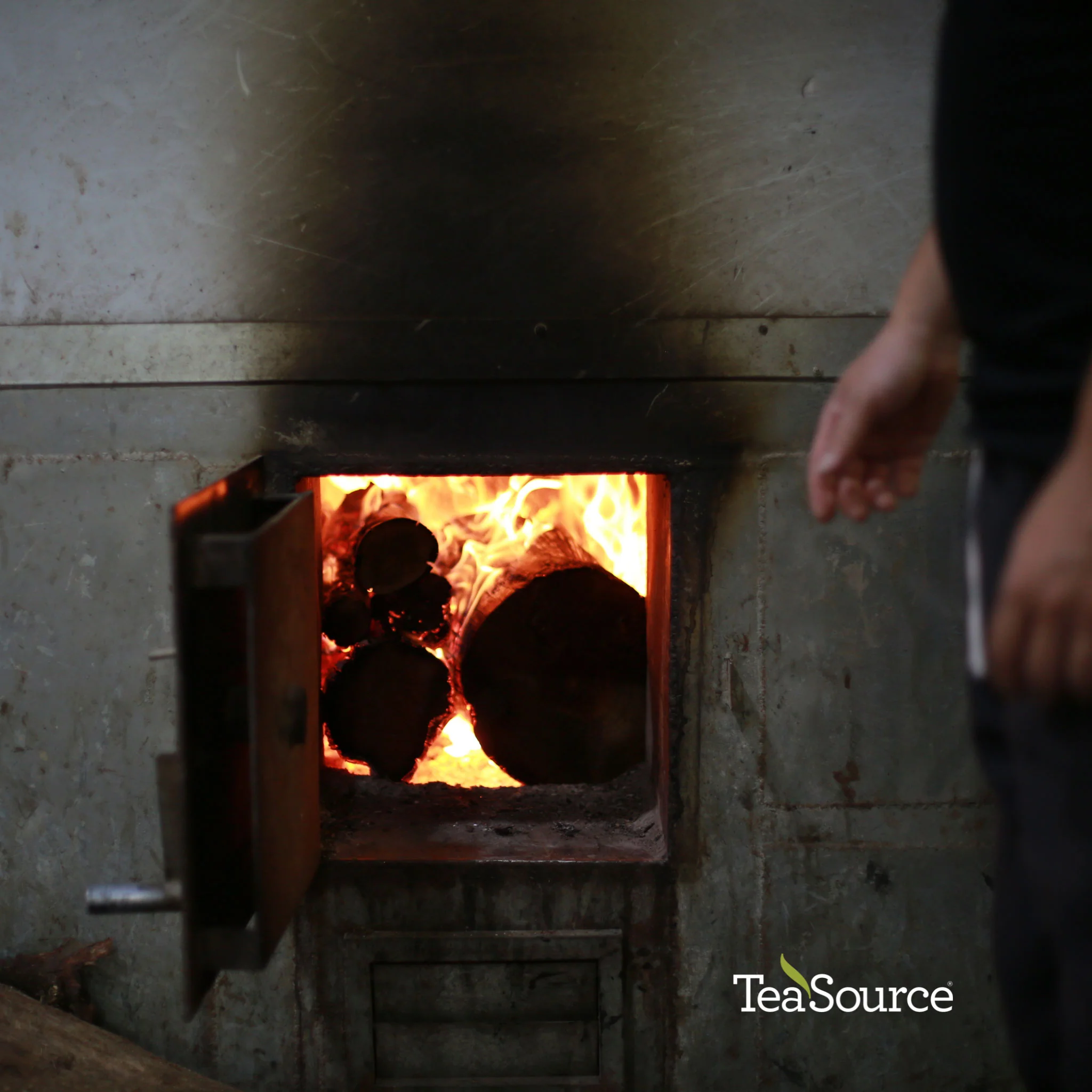 Daredevil Dan Cong | Oolong Tea - Image 11