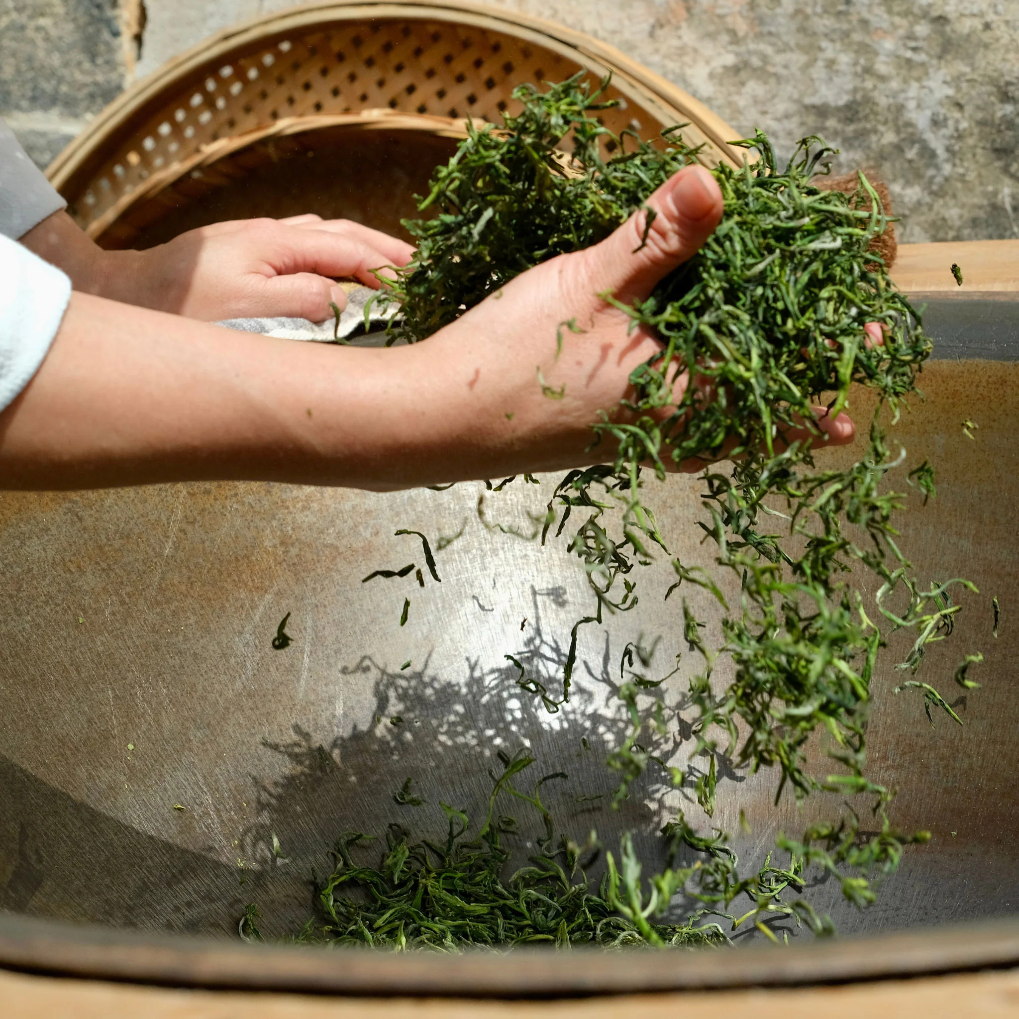 Fibonacci Spiral | Green Tea - Image 3