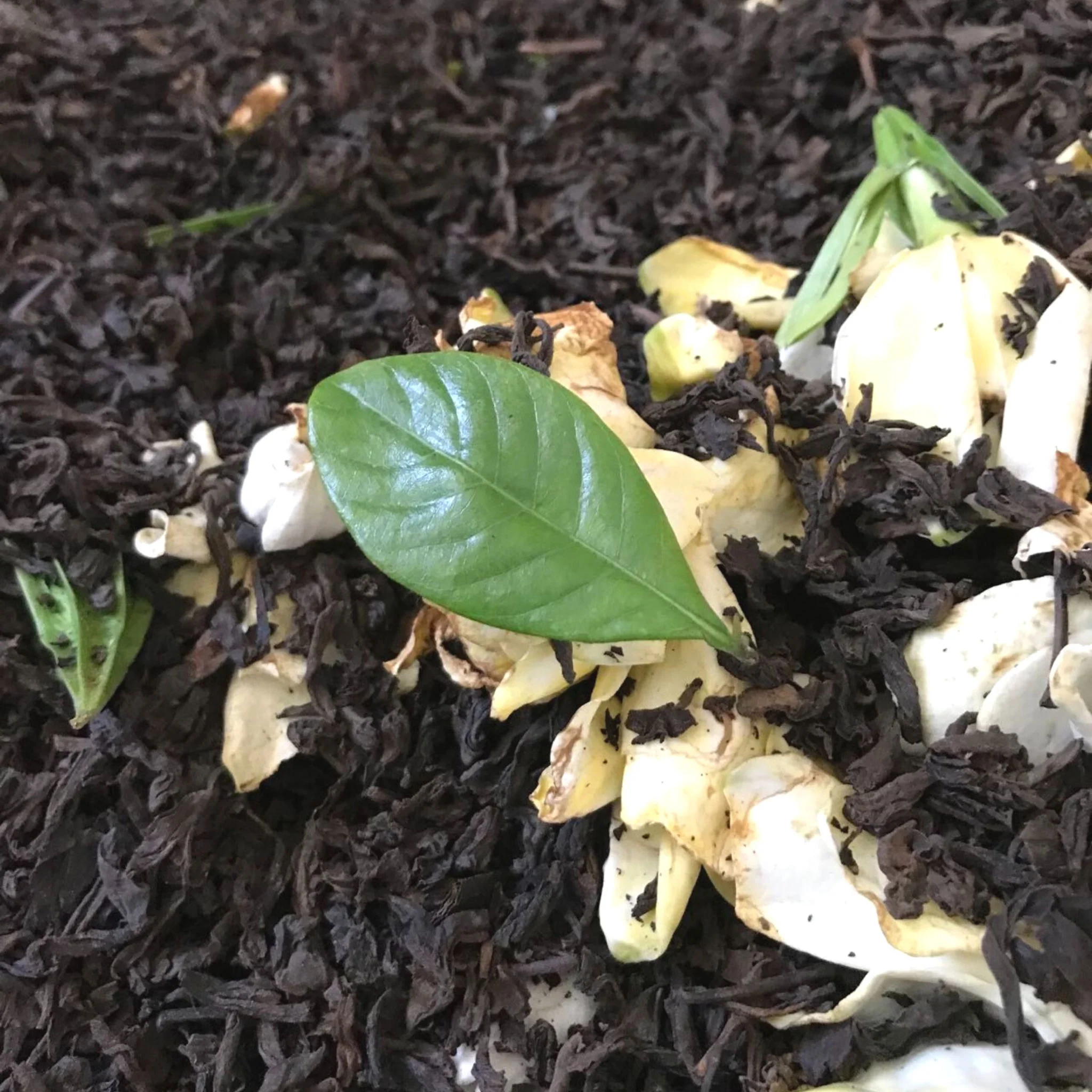 Gardenia Puer | Ripe (Shu) Puer Tea - Image 7
