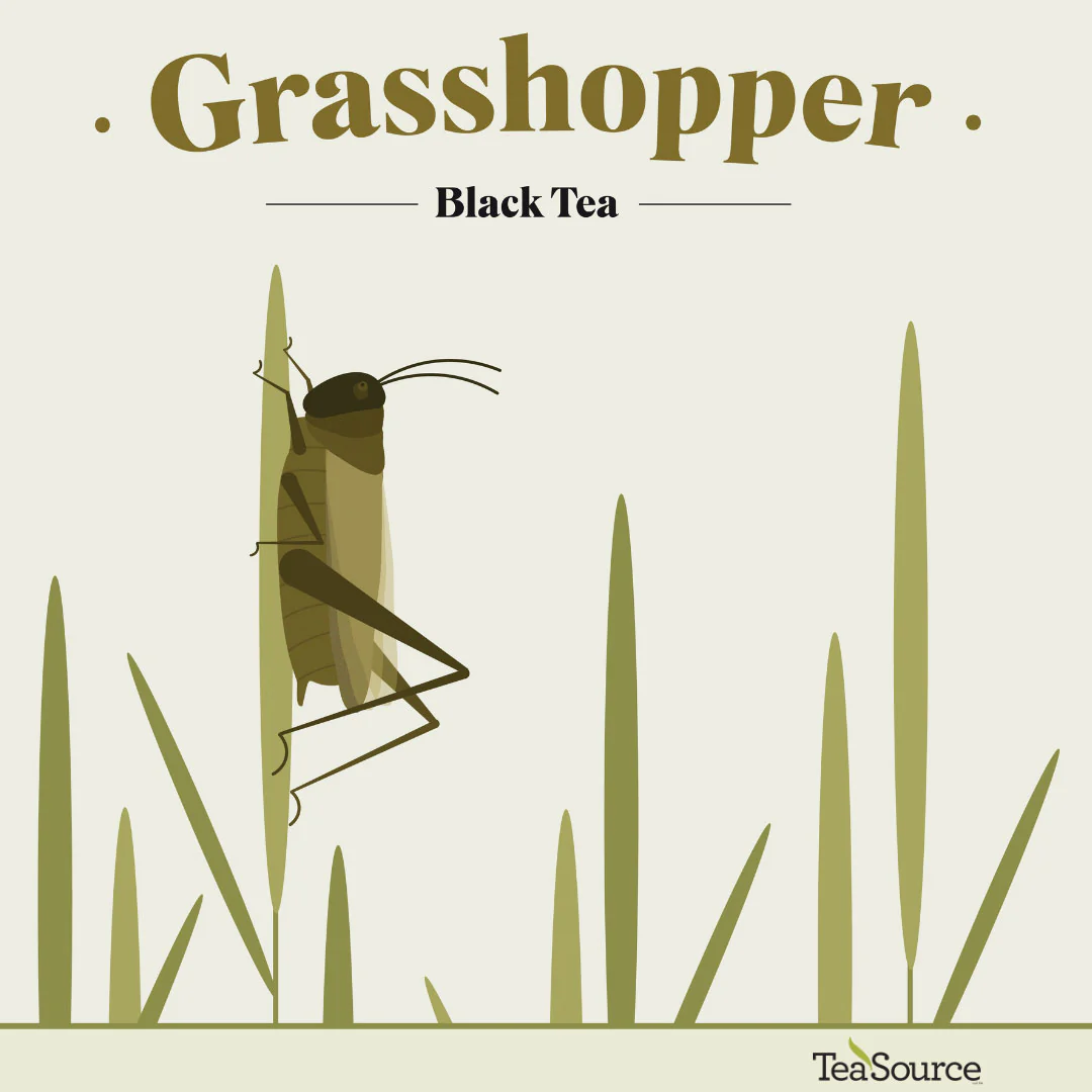 Grasshopper | Black Tea - Image 3