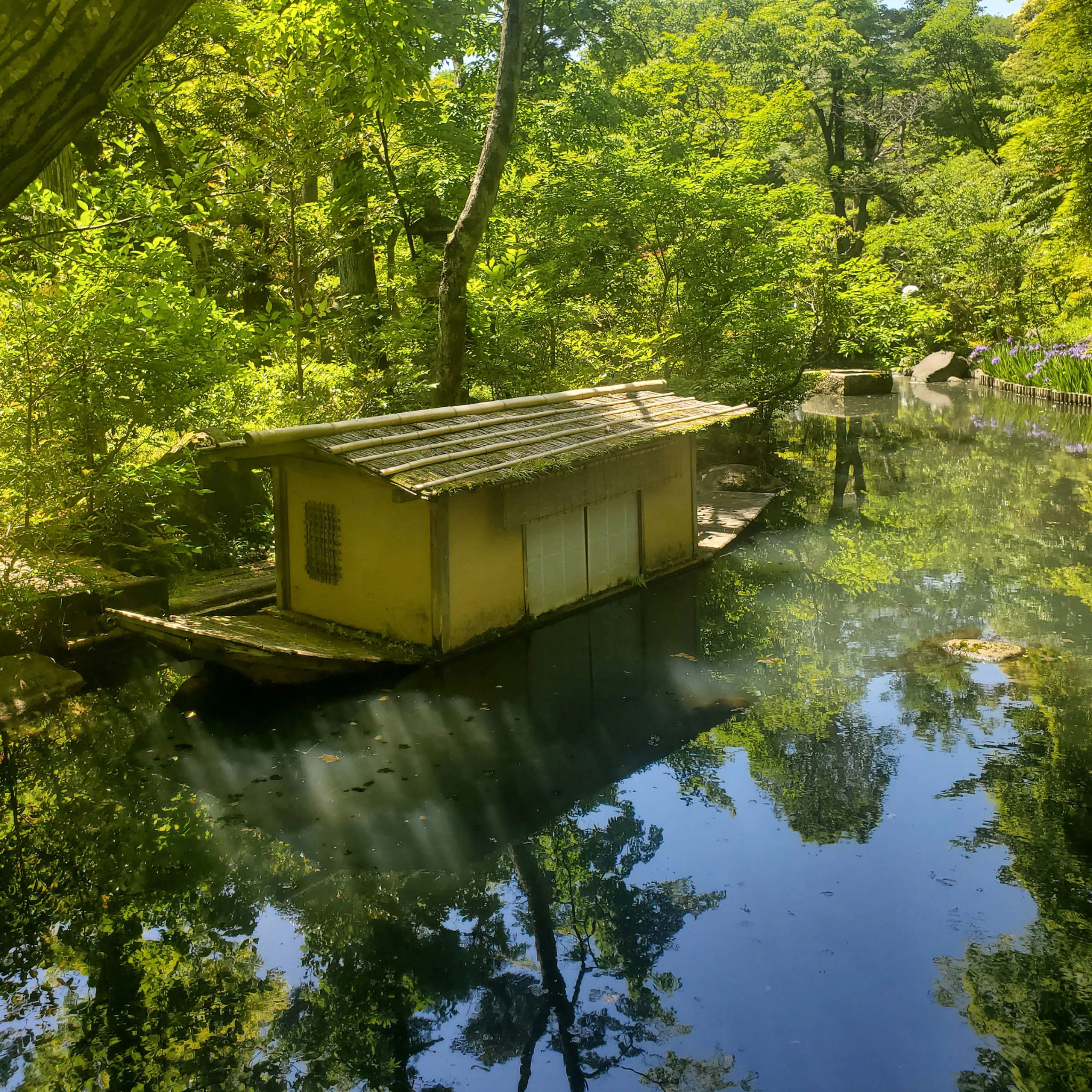 Hot Springs Sencha | Green Tea - Image 3