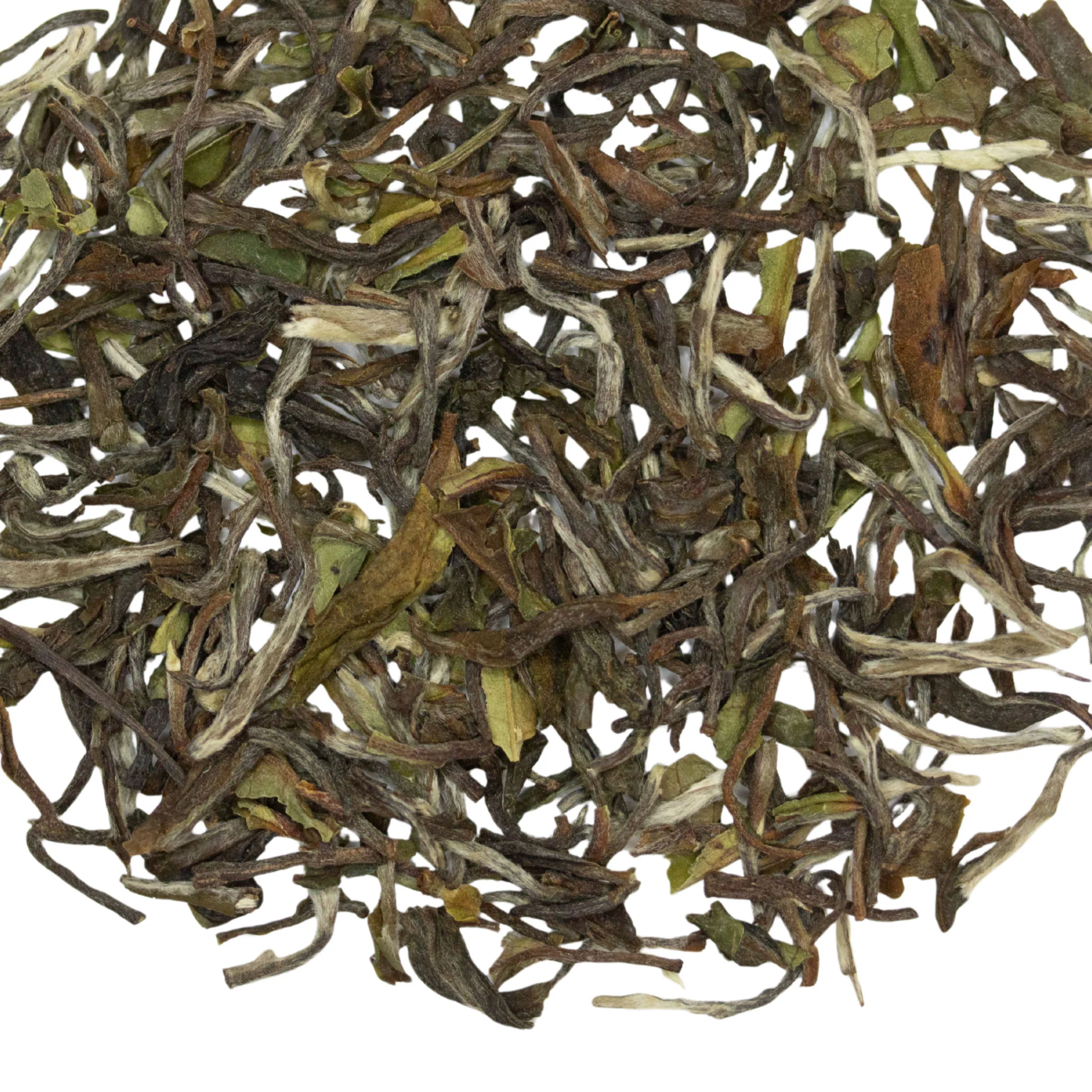 Mangrove Sunbird Darjeeling 1st Flush | Black Tea